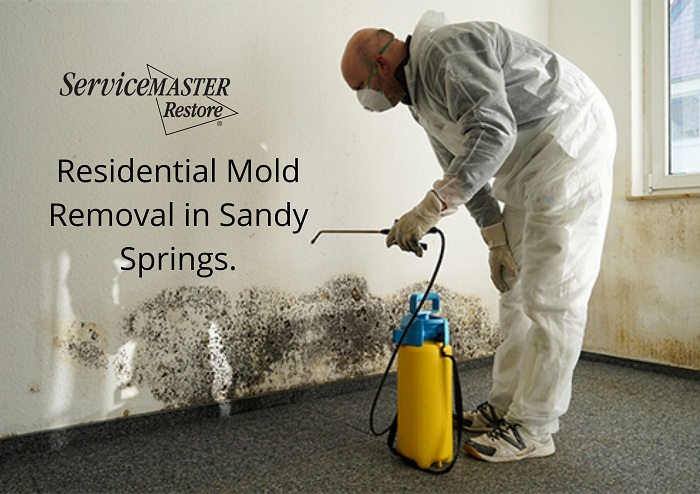residential mold removal Sandy Springs